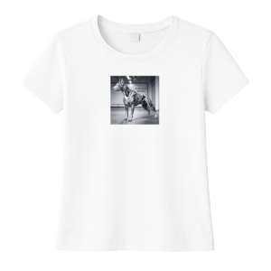 Camiseta feminina 100% algodão.