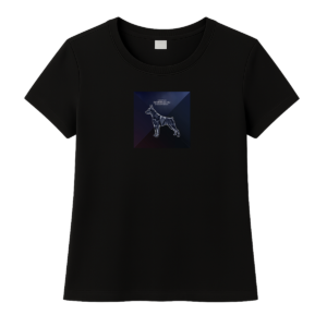 Camiseta feminina 100% algodão.